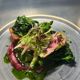 Roasted Breast of Gressingham Duck